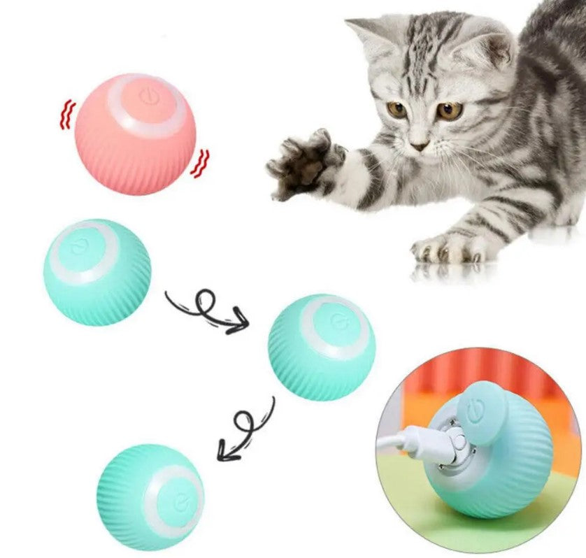 Smart Interactive Pet Ball (USB Rechargeable | 360° Motion Toy)