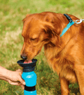Aqua Dog Portable Water Bottle (Built-in Drinking Bowl)