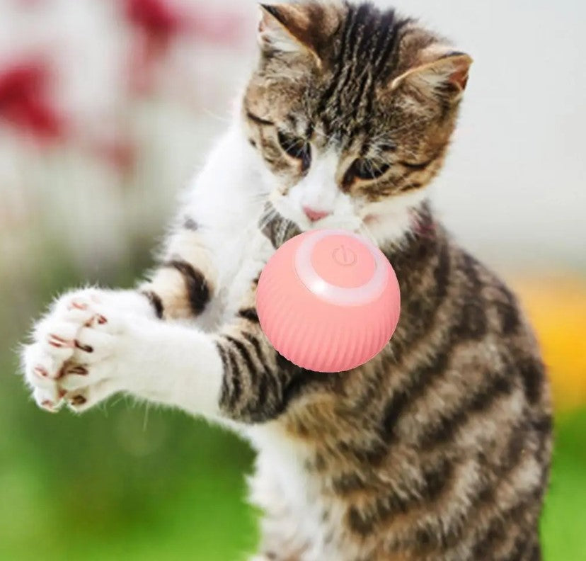 Smart Interactive Pet Ball (USB Rechargeable | 360° Motion Toy)