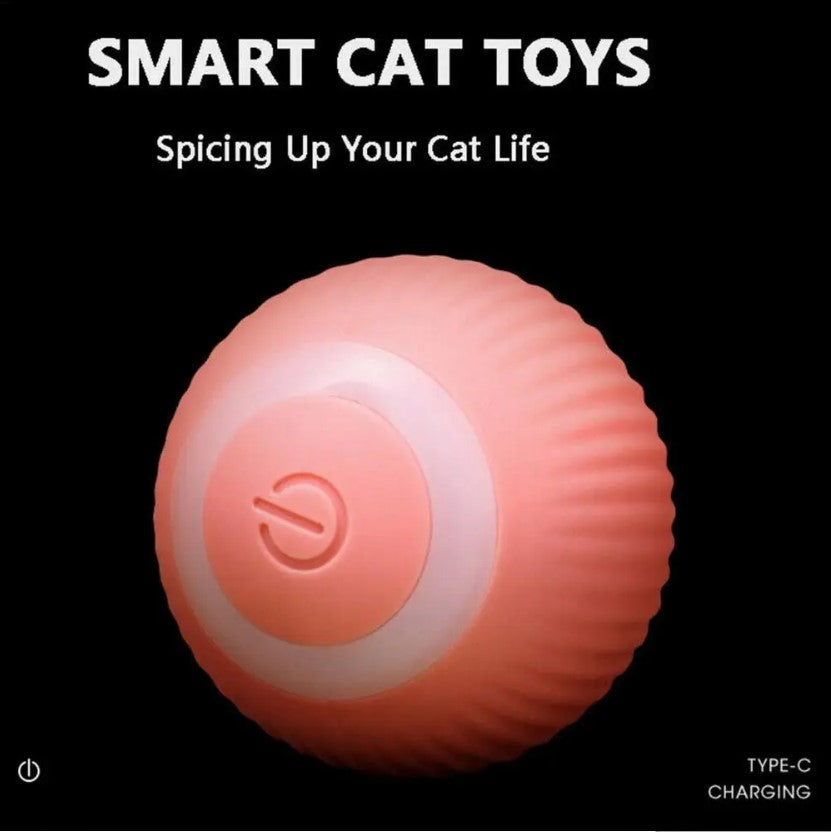 Smart Interactive Pet Ball (USB Rechargeable | 360° Motion Toy)