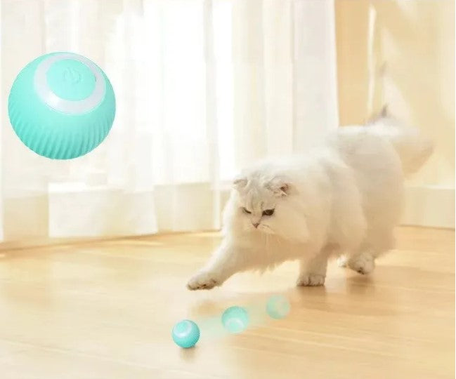 Smart Interactive Pet Ball (USB Rechargeable | 360° Motion Toy)