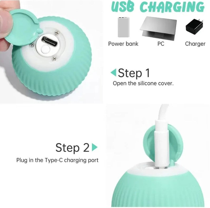 Smart Interactive Pet Ball (USB Rechargeable | 360° Motion Toy)