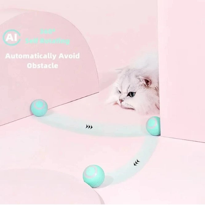 Smart Interactive Pet Ball (USB Rechargeable | 360° Motion Toy)